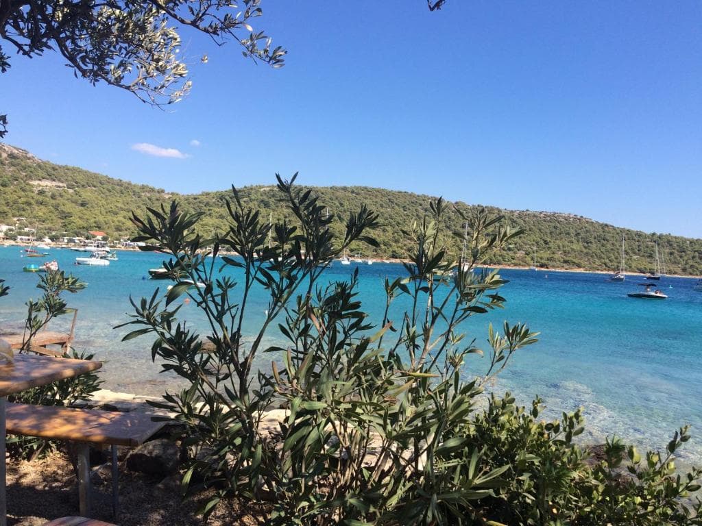 Tirkizna uvala kroz grane maslina nadomak Jezera